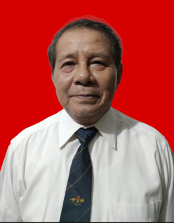 M. Amin Nurdin M. Amin Nurdin